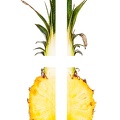 5 Ananas