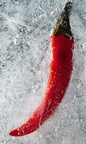 Chili on Ice
